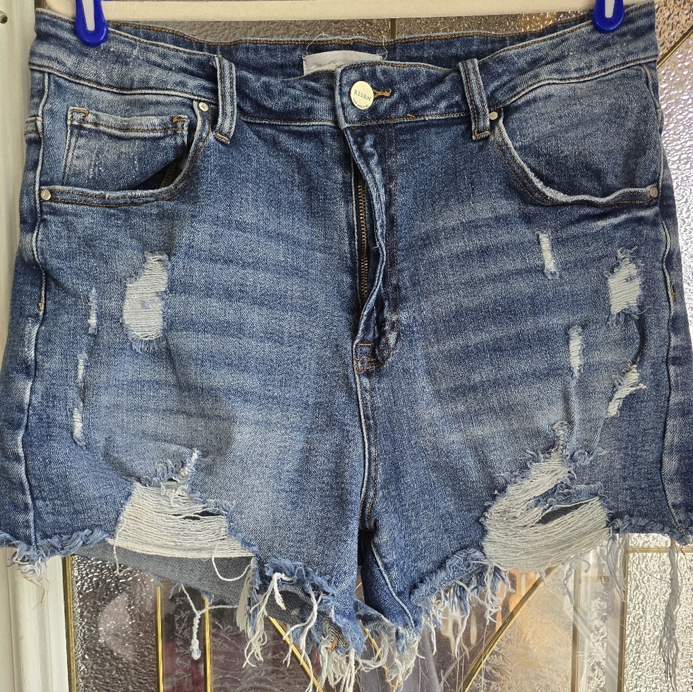 Women's Risen distressed jean shorts, size 2XL